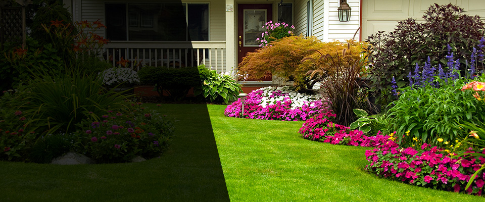 Thorp Landscapers