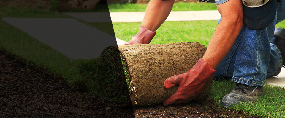 Thorp Landscapers